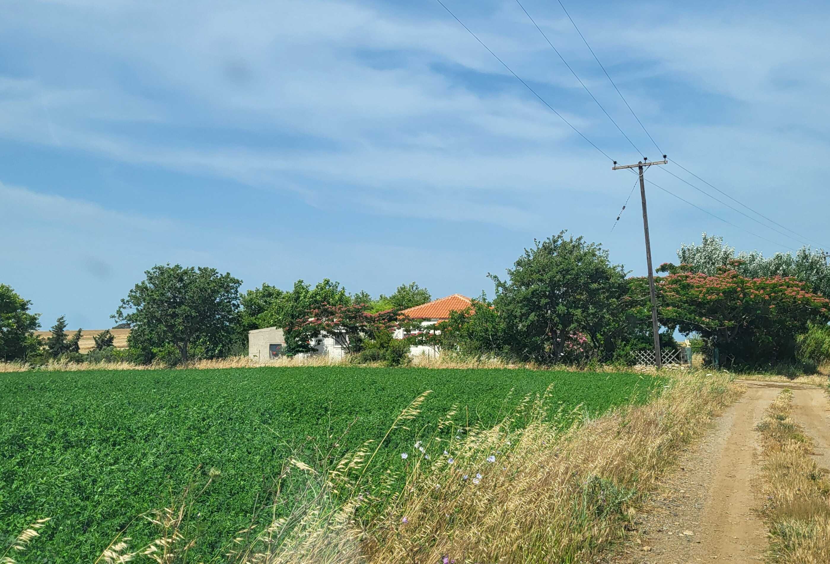 Αγροτεμάχιο με κτίσμα  σε πλειστηριασμό Δήμος Σαμοθράκης