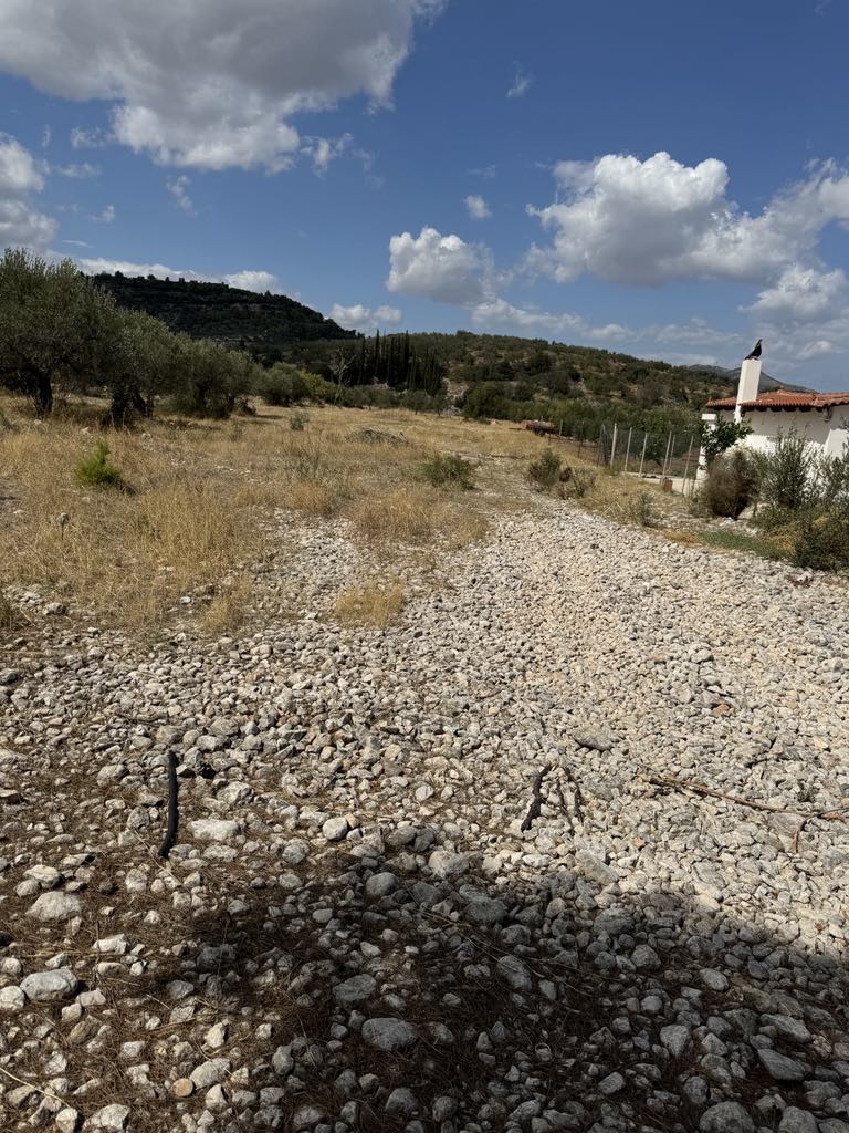 Οικόπεδο  σε πλειστηριασμό Δήμος Κορινθίων
