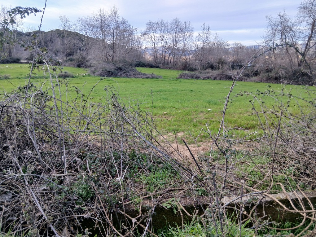 Οικόπεδο  σε πλειστηριασμό Δήμος Μετεώρων