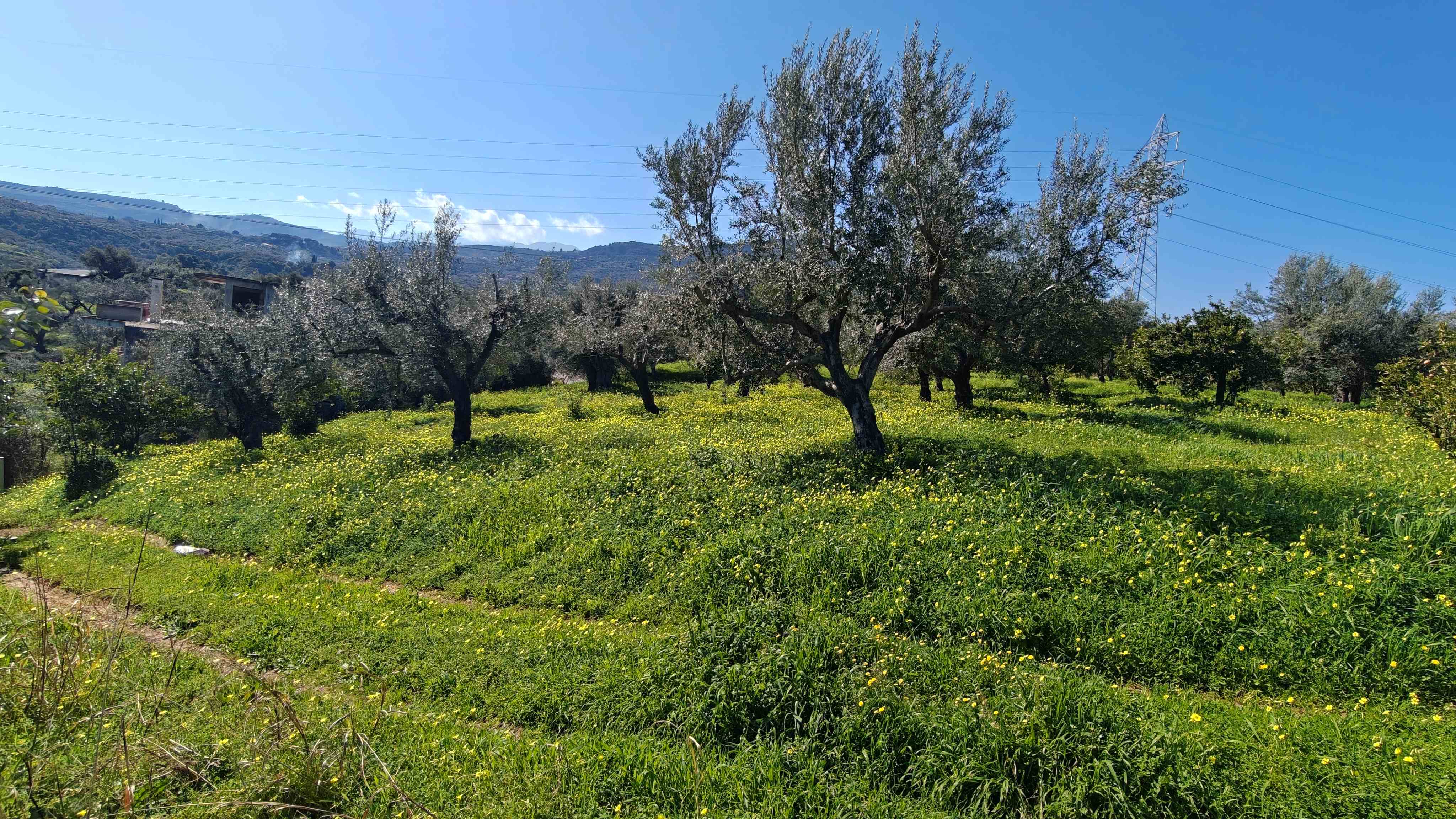 Οικόπεδο  σε πλειστηριασμό Δήμος Αιγιαλείας