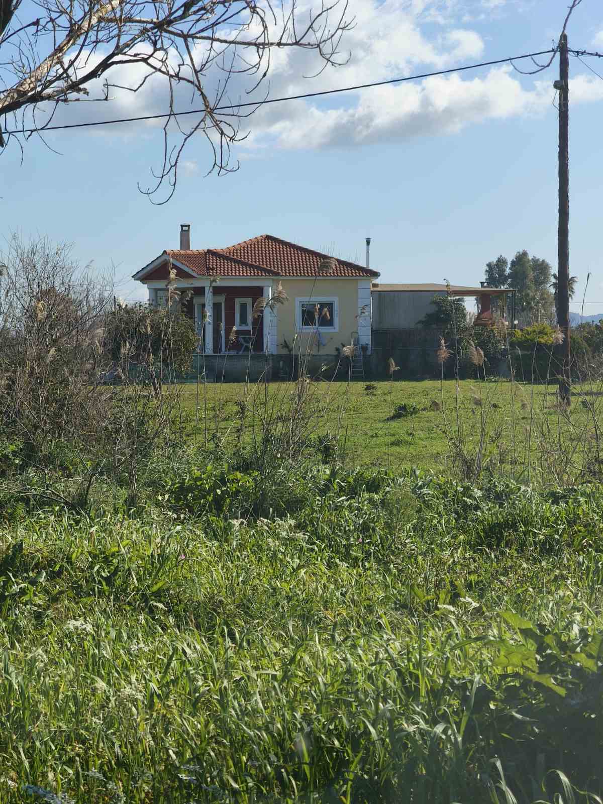 Αγροτεμάχιο με κτίσμα  σε πλειστηριασμό Δήμος Πύργου