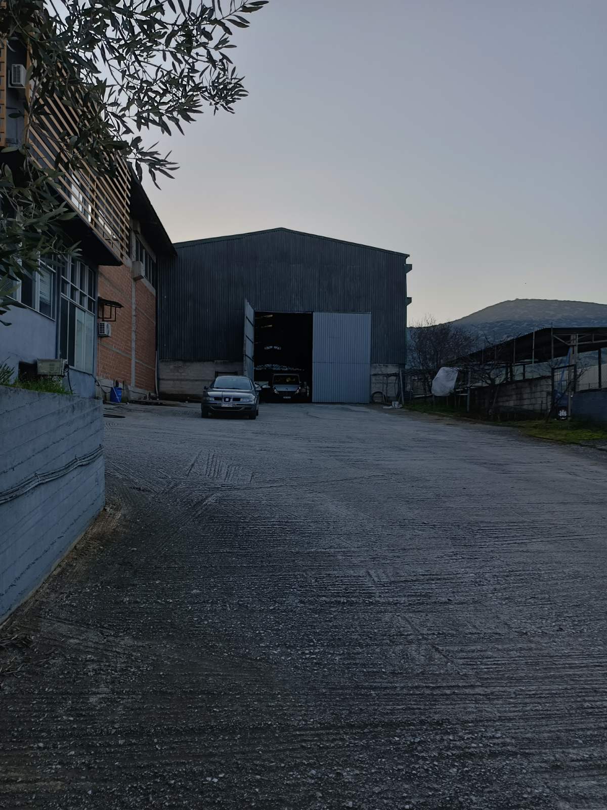 photo6