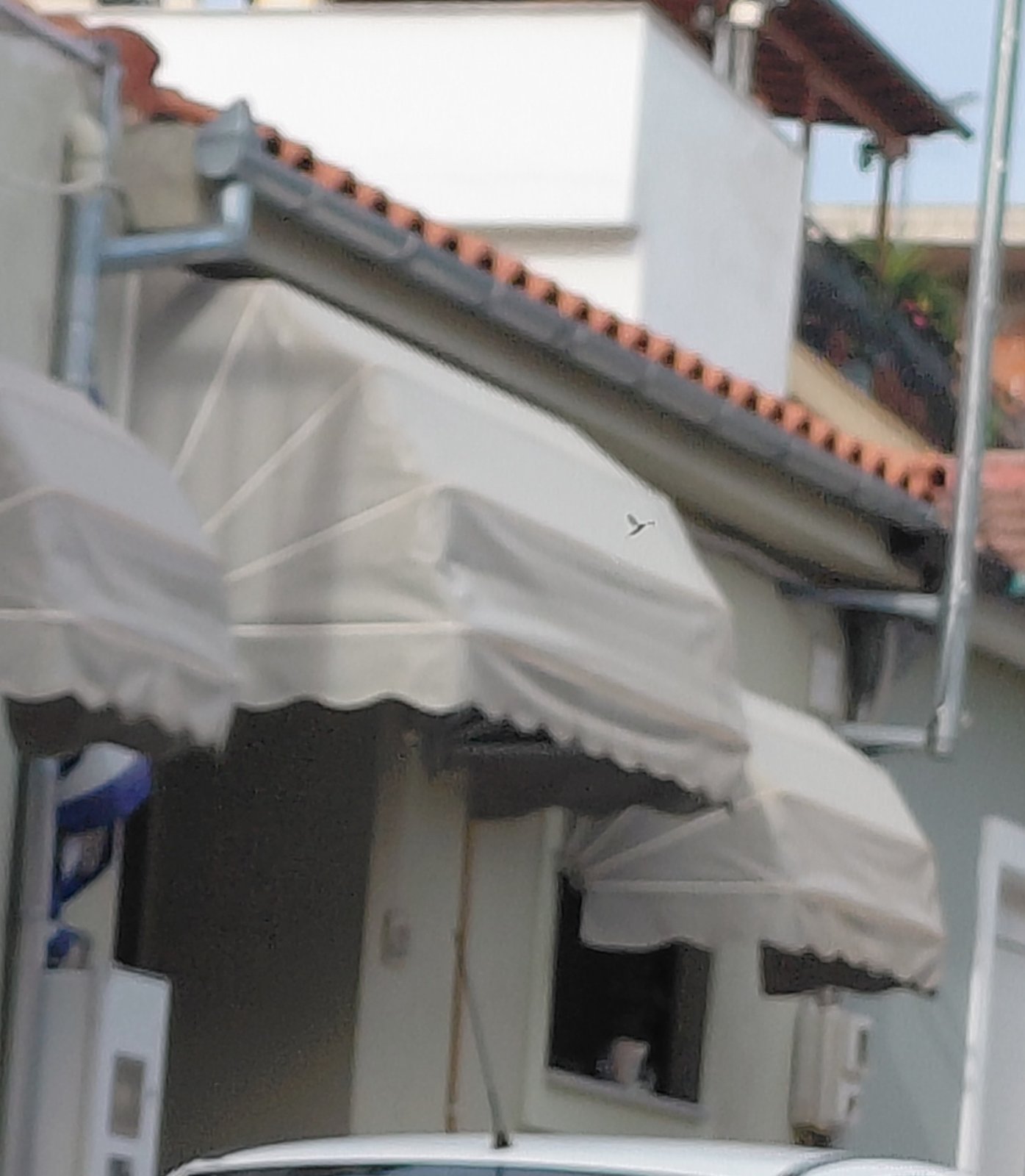 Κατοικία  σε πλειστηριασμό Δήμος Βόλου
