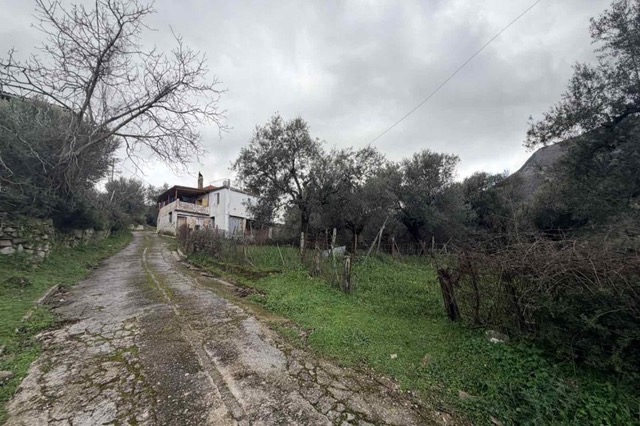 Οικόπεδο  σε πλειστηριασμό Δήμος Καλαμάτας