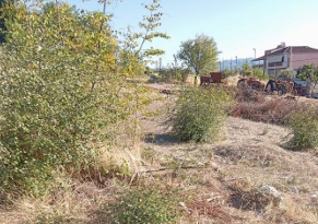 Αγροτεμάχιο  σε πλειστηριασμό Δήμος Κοζάνης