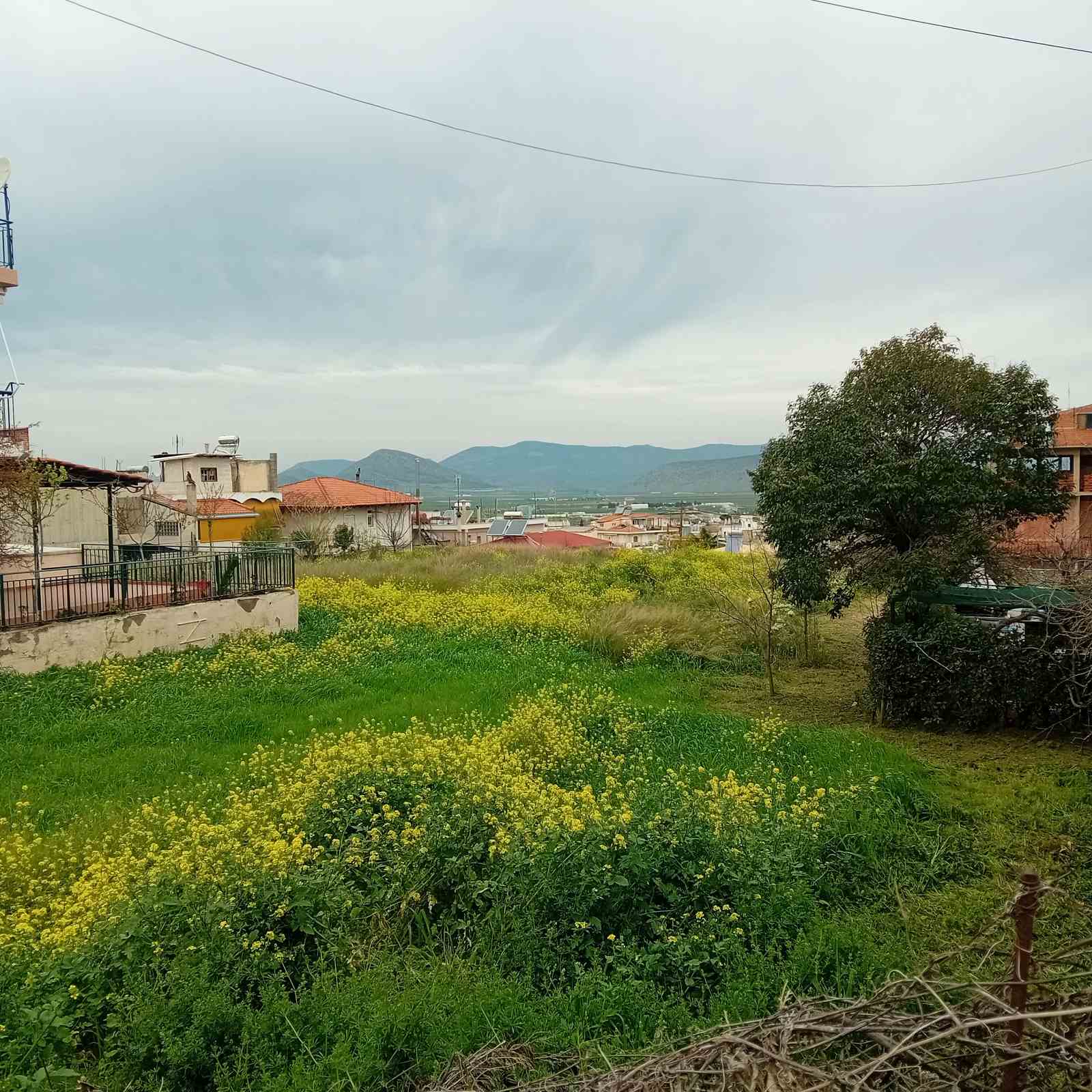 Οικόπεδο  σε πλειστηριασμό Δήμος Θηβαίων
