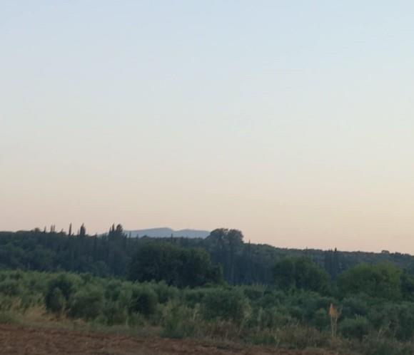 Αγροτεμάχιο  σε πλειστηριασμό Δήμος Μεσσήνης