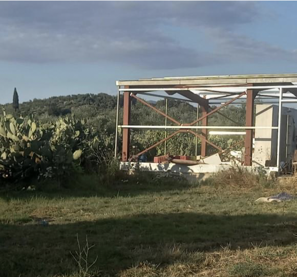 Αγροτεμάχιο  σε πλειστηριασμό Δήμος Μεσσήνης