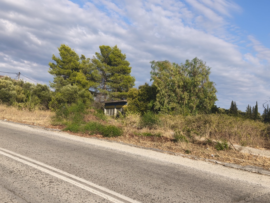 Αγροτεμάχιο με κτίσμα  σε πλειστηριασμό Δήμος Νικολάου Σκουφά