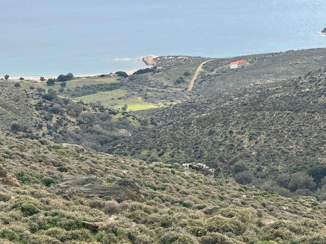 Αγροτεμάχιο  σε πλειστηριασμό Δήμος Καρύστου