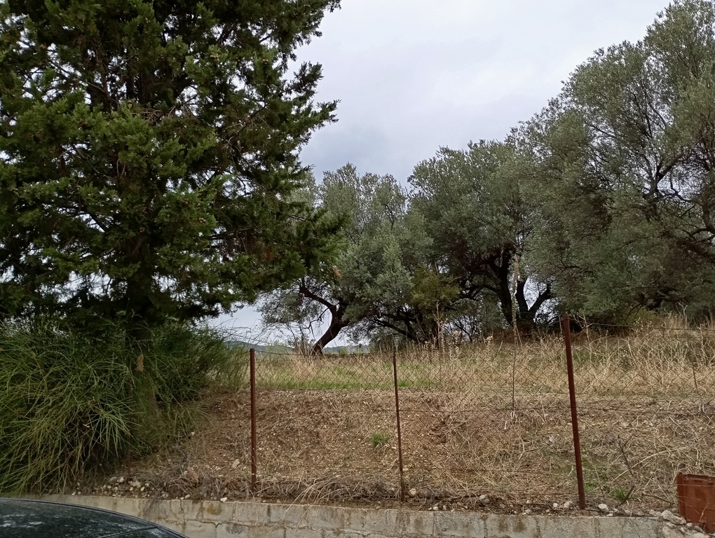 Οικόπεδο  σε πλειστηριασμό Δήμος Ηγουμενίτσας