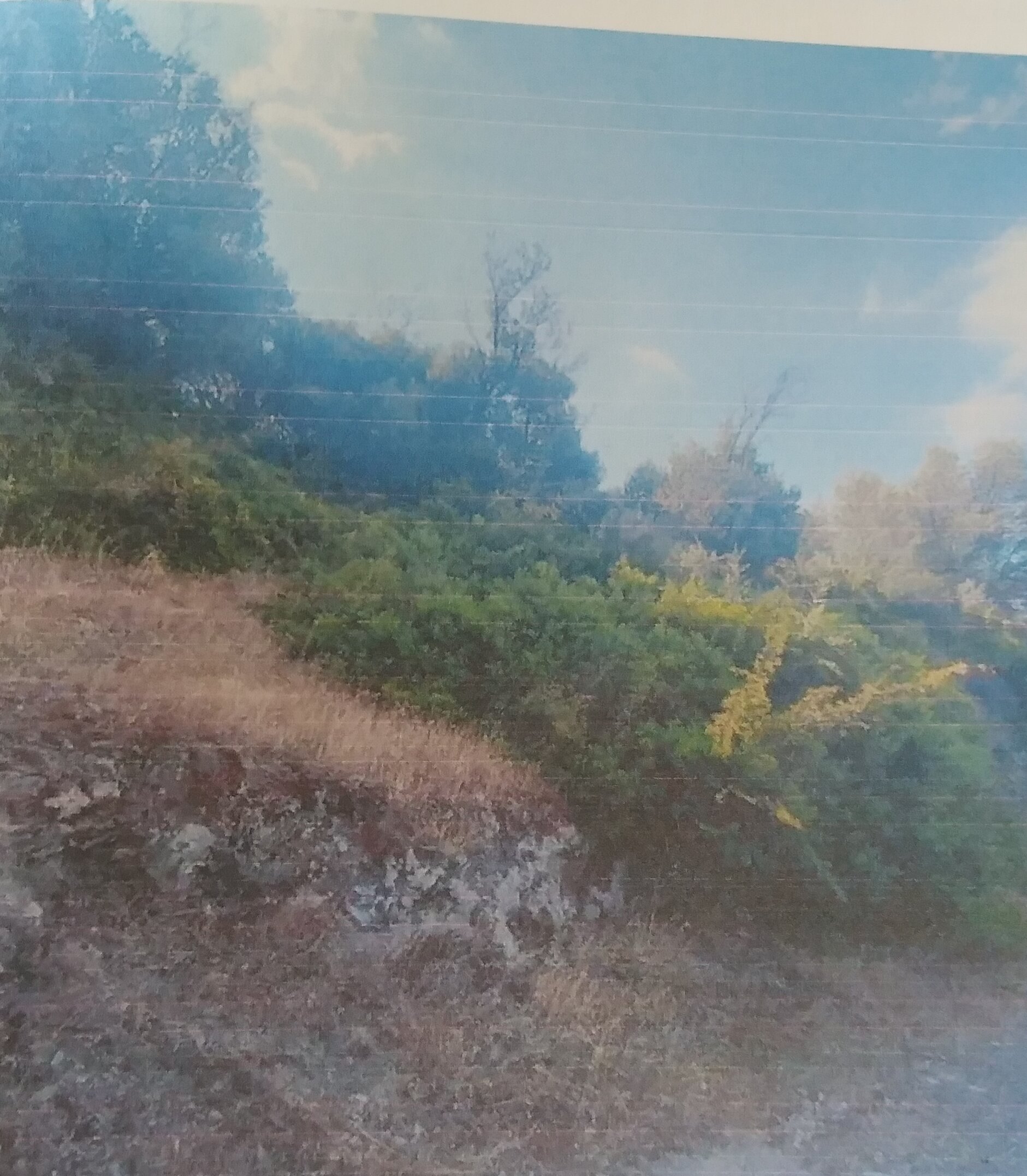 Οικόπεδο  σε πλειστηριασμό Δήμος Ερέτριας