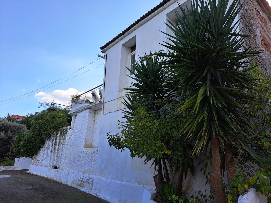 Οικόπεδο με κτίσμα  σε πλειστηριασμό Δήμος Σπάρτης