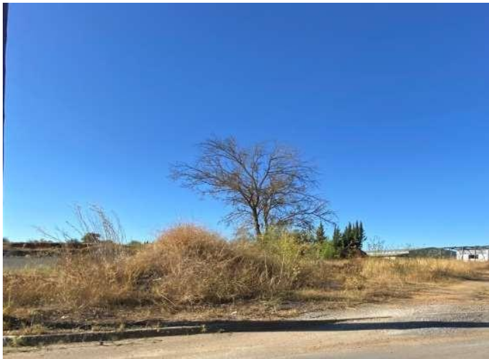 Οικόπεδο  σε πλειστηριασμό Municipality of Tripoli