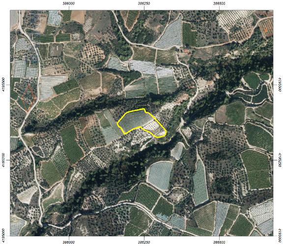 Αγροτεμάχιο 0 τ.μ. σε πλειστηριασμό Δήμος Νεμέας