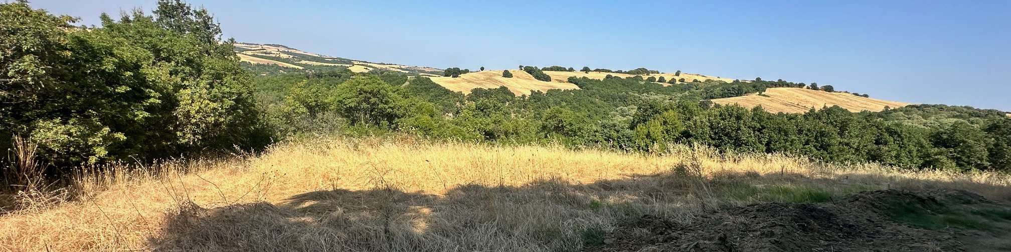 Αγροτεμάχιο 376 τ.μ. σε πλειστηριασμό Δήμος Κατερίνης