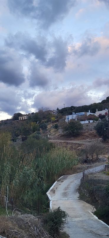 Οικόπεδο  σε πλειστηριασμό Δήμος Άνδρου
