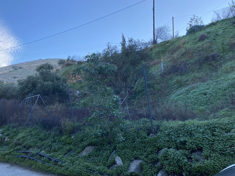 Οικόπεδο  σε πλειστηριασμό Δήμος Σύρου - Ερμούπολης