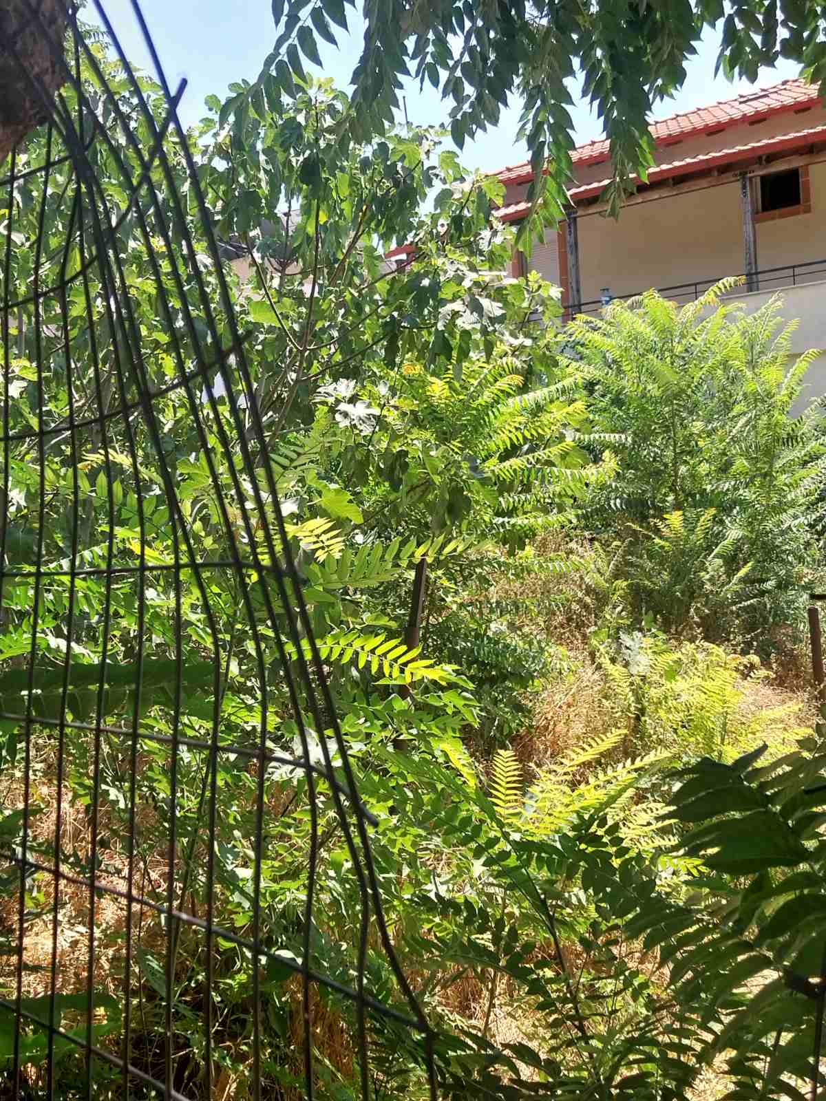 Οικόπεδο  σε πλειστηριασμό Δήμος Χαλκηδόνος