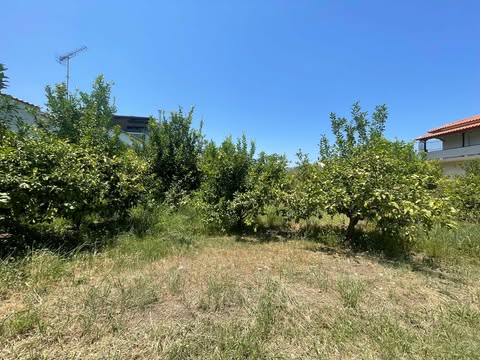 Οικόπεδο  σε πλειστηριασμό Δήμος Αιγιαλείας