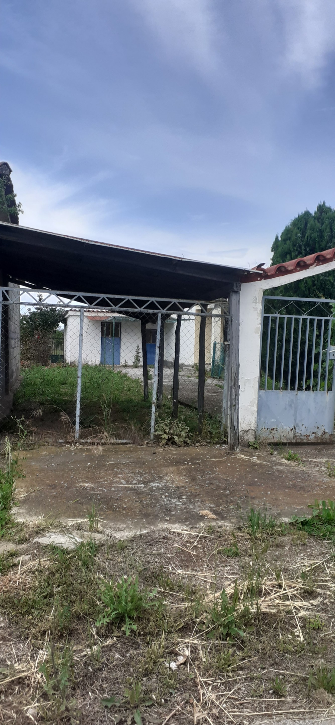 Οικόπεδο με κτίσμα  σε πλειστηριασμό Δήμος Φαρσάλων