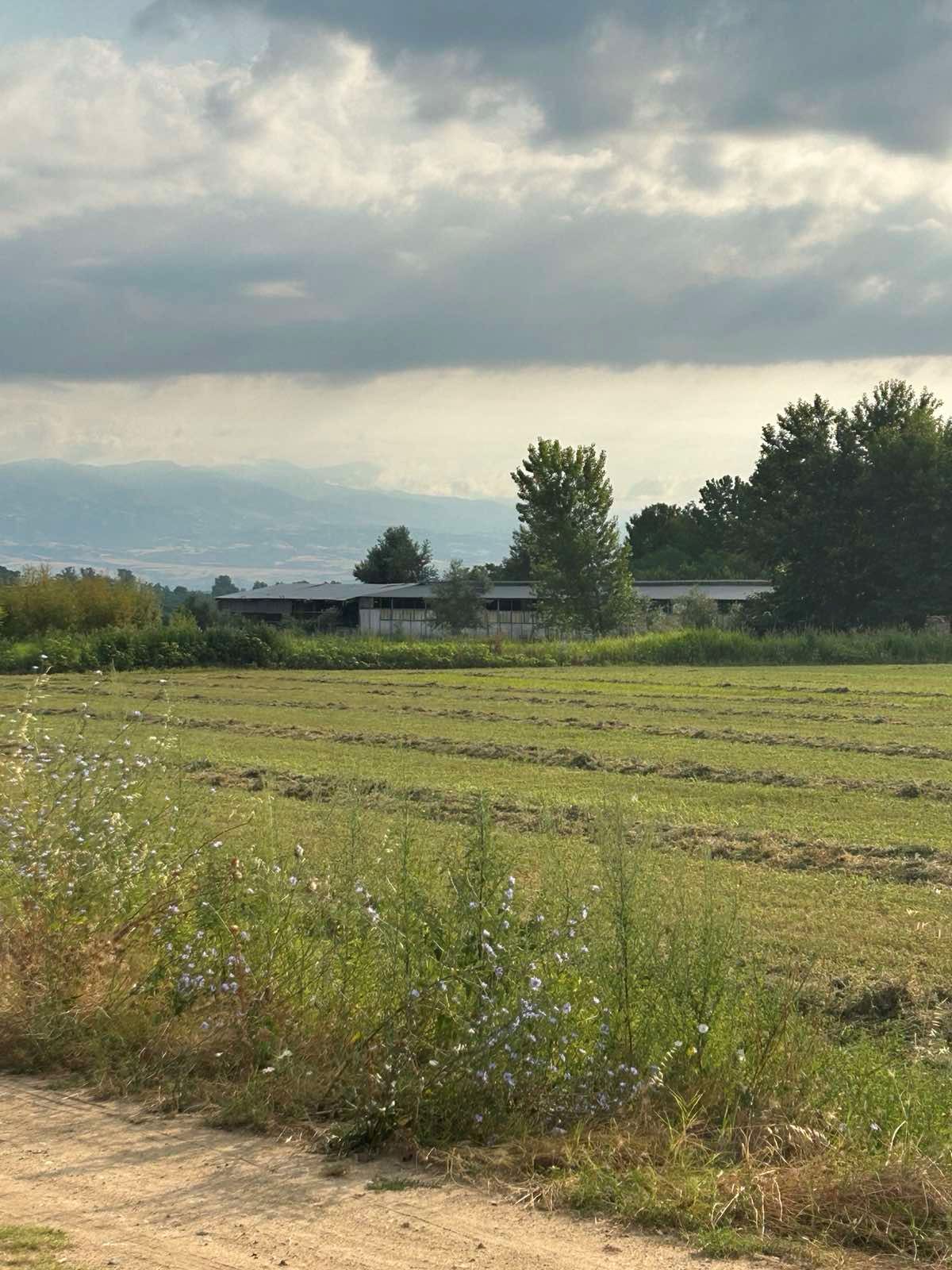 Αγροτεμάχιο με κτίσμα  σε πλειστηριασμό Δήμος Ηρακλείας