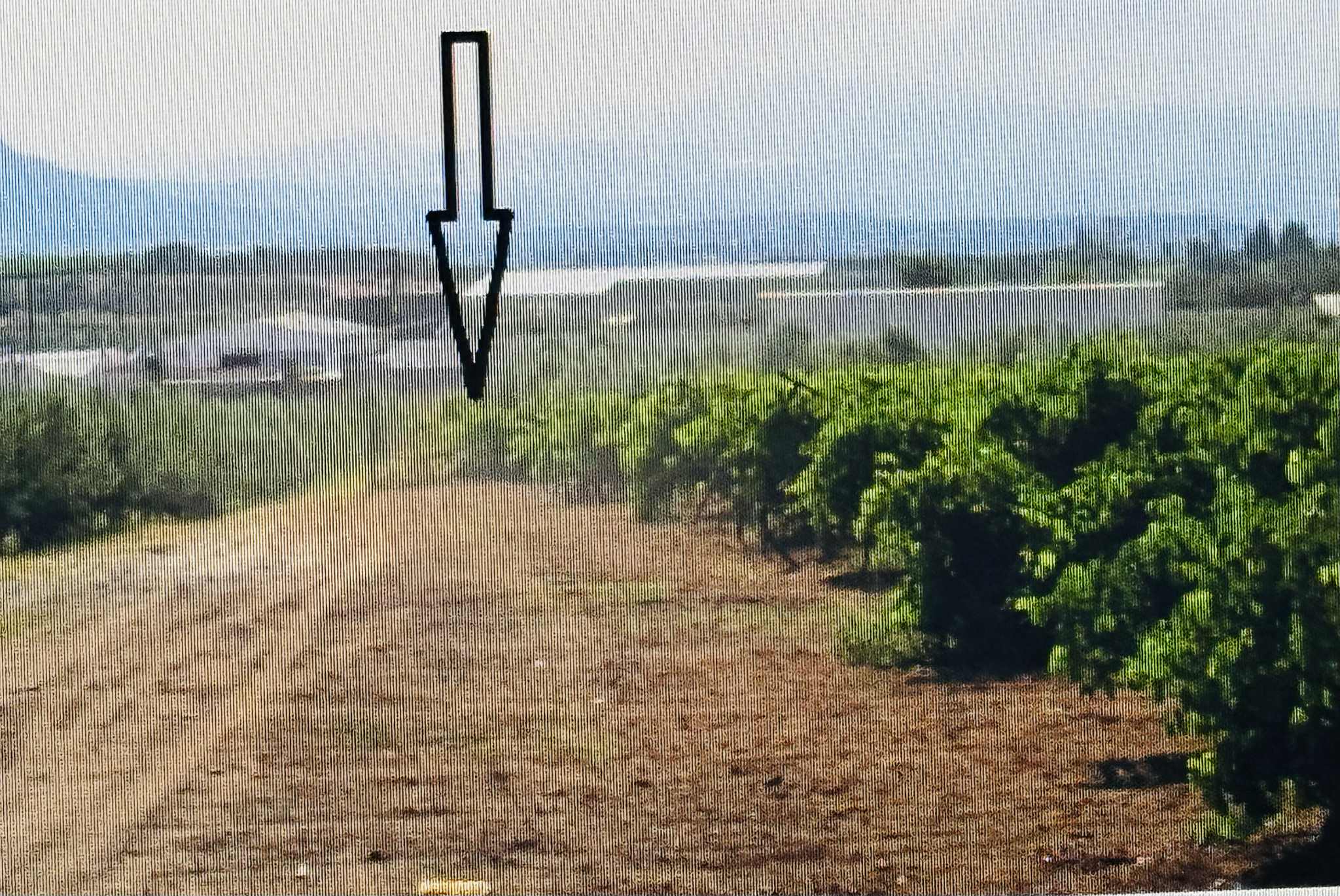 Αγροτεμάχιο  σε πλειστηριασμό Δήμος Κορινθίων