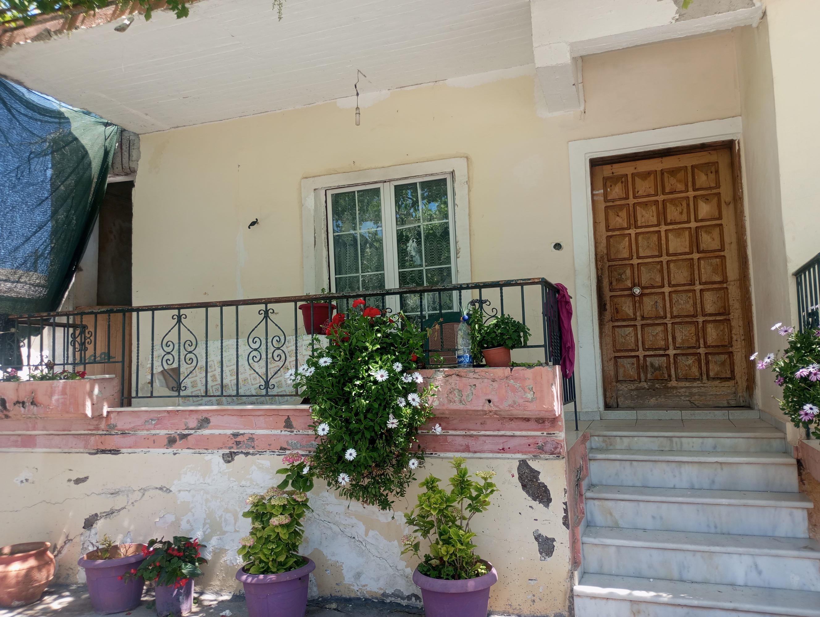 Οικόπεδο με κτίσμα  σε πλειστηριασμό Δήμος Ήλιδας