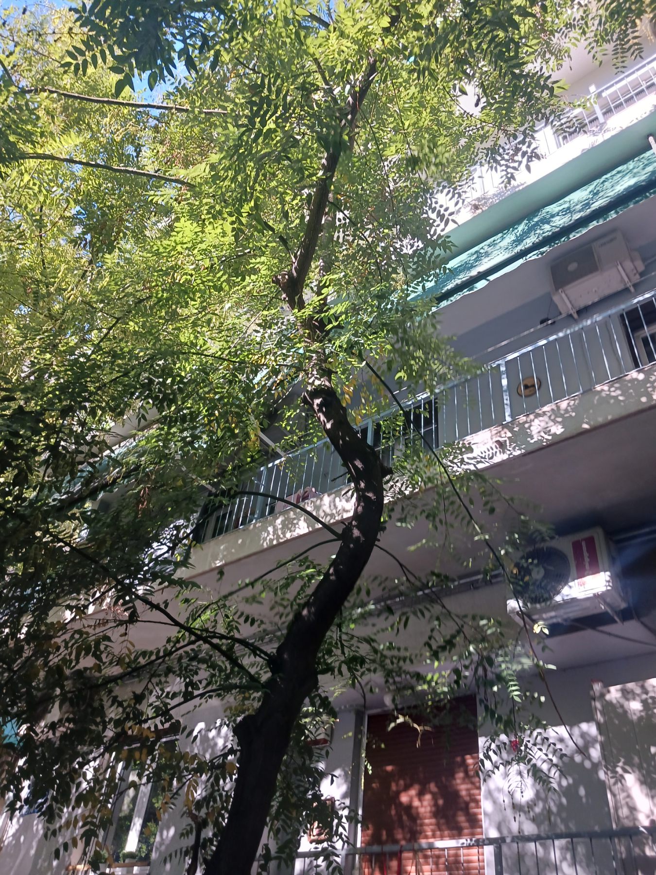 Κατοικία  σε πλειστηριασμό Δήμος Αθηναίων