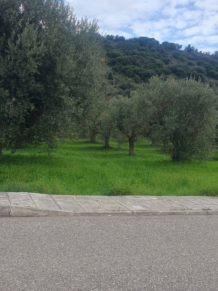 Οικόπεδο  σε πλειστηριασμό Δήμος Αγρινίου