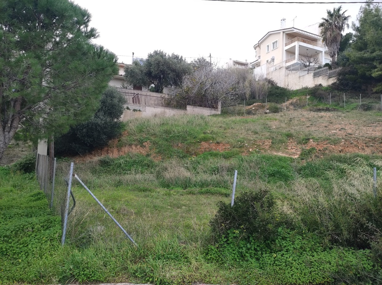 Οικόπεδο  σε πλειστηριασμό Δήμος Ραφήνας - Πικερμίου
