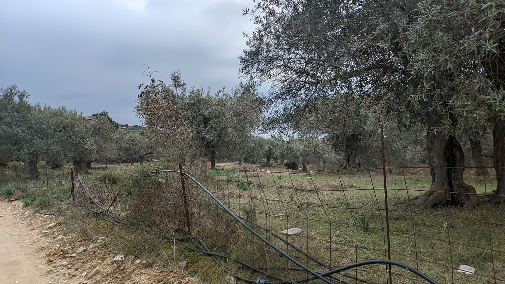 Αγροτεμάχιο 716.44 τ.μ. σε πλειστηριασμό Δήμος Θάσου