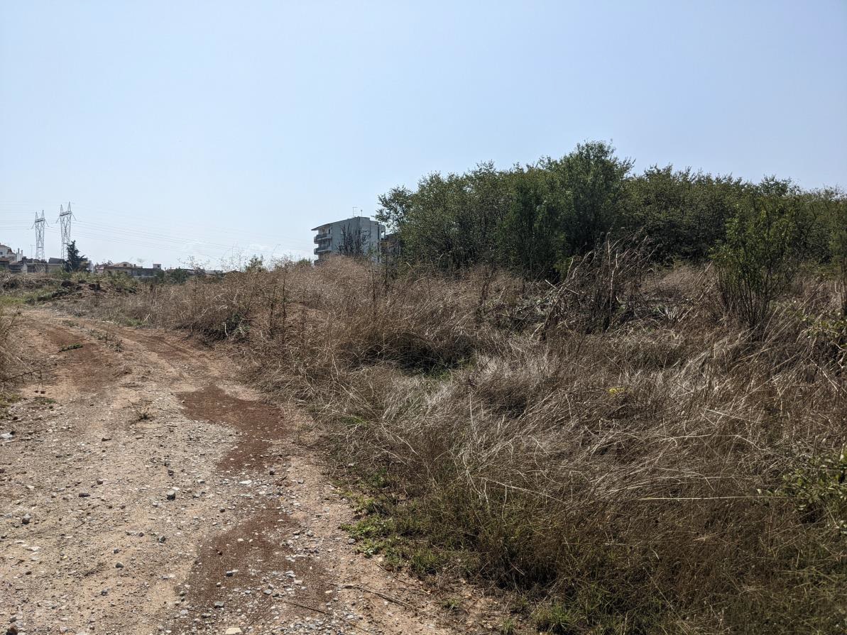 Οικόπεδο  σε πλειστηριασμό Δήμος Λαρισαίων
