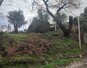 Αγροτεμάχιο  σε πλειστηριασμό Δήμος Κέρκυρας