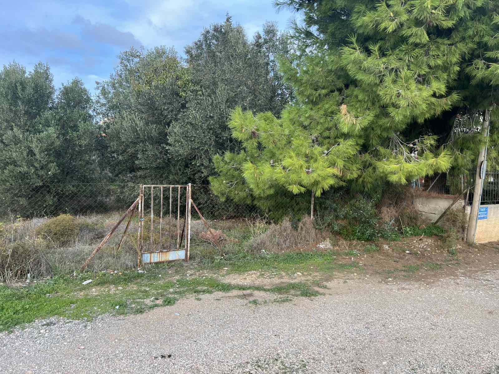 Οικόπεδο  σε πλειστηριασμό Δήμος Αχαρνών