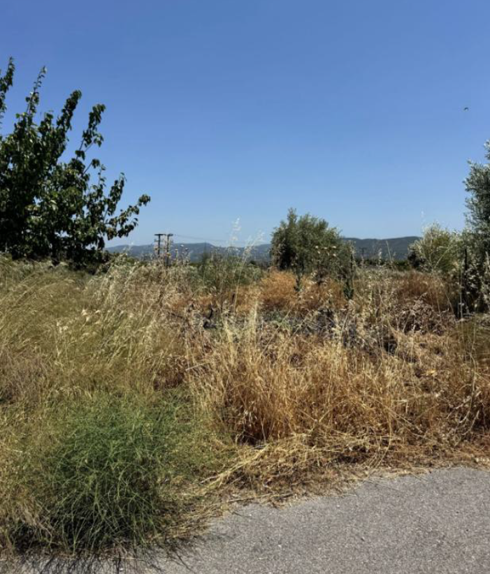 Οικόπεδο  σε πλειστηριασμό Δήμος Ωρωπού