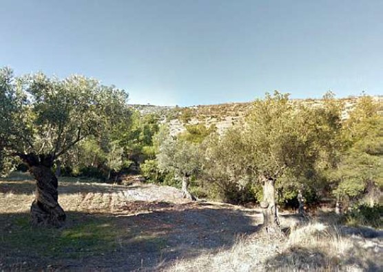 Οικόπεδο  σε πλειστηριασμό Δήμος Μάνδρας - Ειδυλλίας