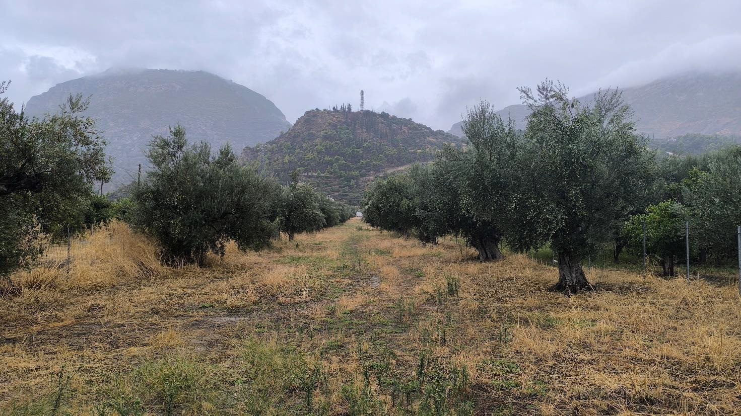 Οικόπεδο  σε πλειστηριασμό Δήμος Ξυλοκάστρου - Ευρωστίνης