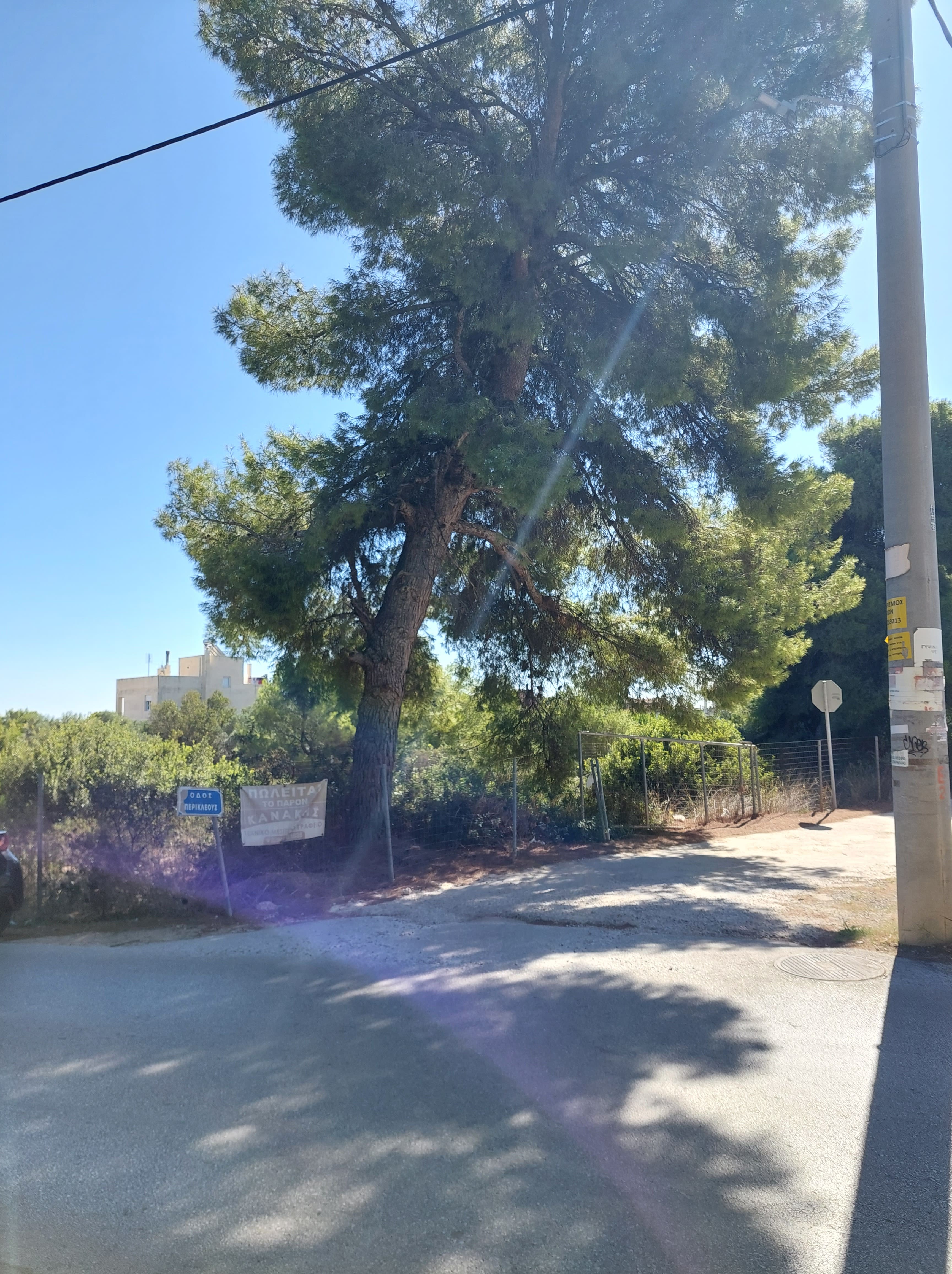 Οικόπεδο  σε πλειστηριασμό Δήμος Σπάτων - Αρτέμιδος