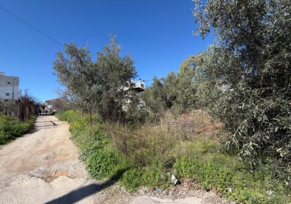 Οικόπεδο  σε πλειστηριασμό Δήμος Αχαρνών