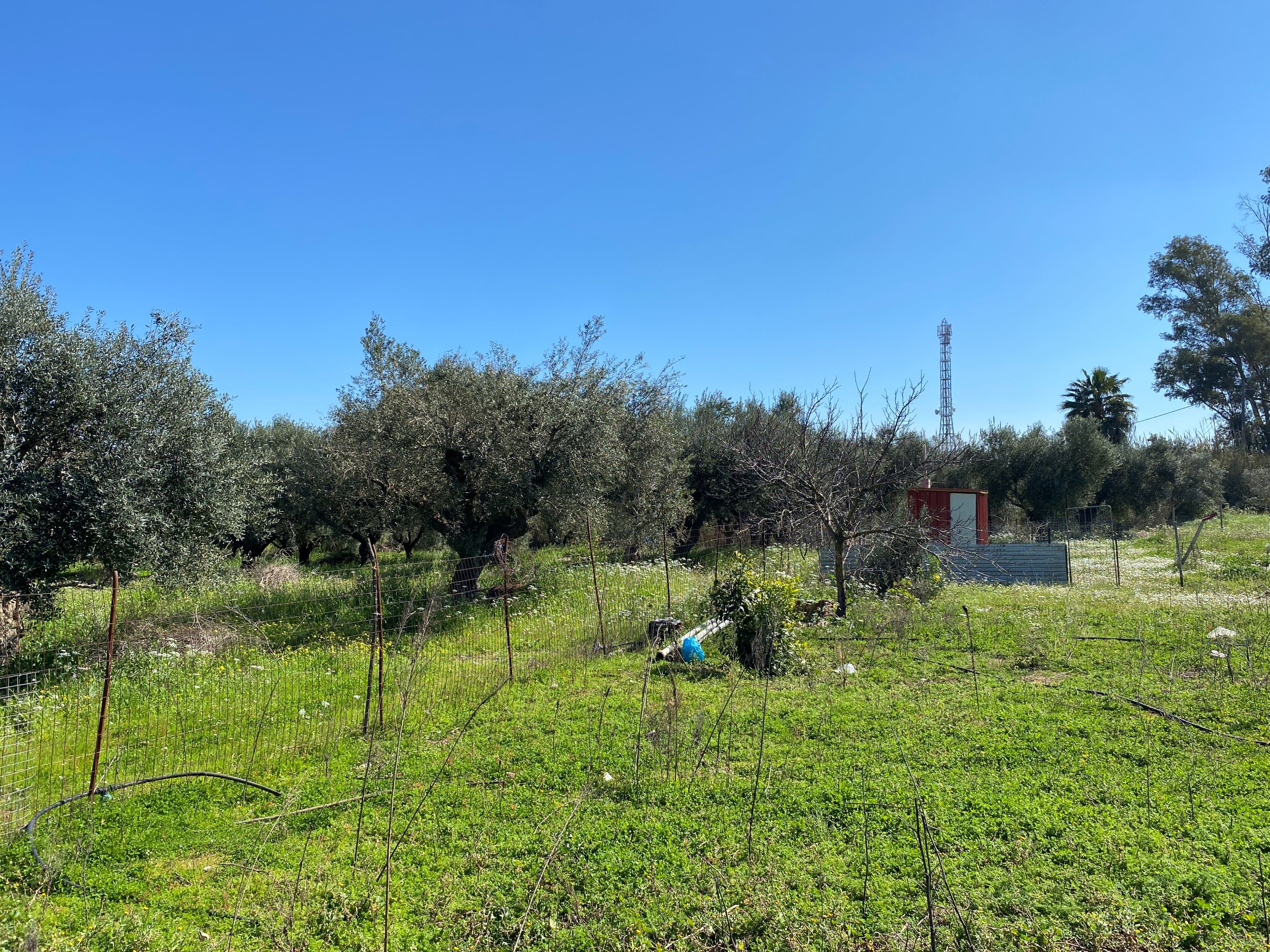 Αγροτεμάχιο  σε πλειστηριασμό Δήμος Ανδραβίδας - Κυλλήνης