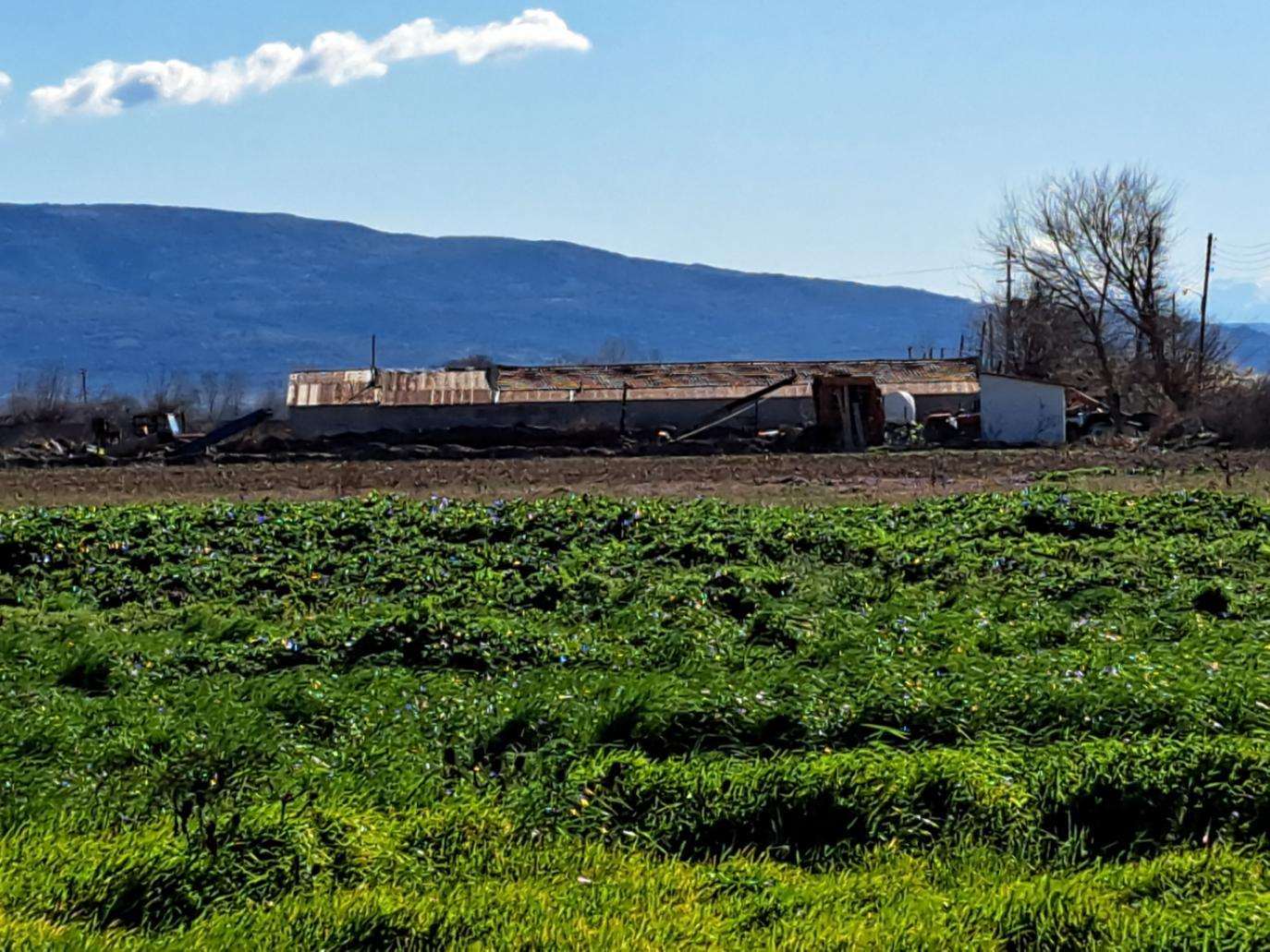 Αγροτεμάχιο με κτίσμα 567 τ.μ. σε πλειστηριασμό Δήμος Ηρακλείας