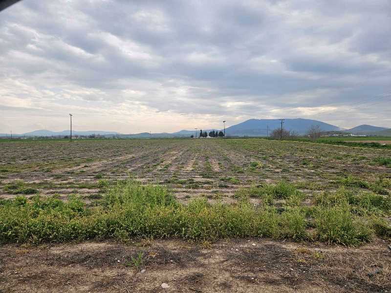 Αγροτεμάχιο 514 τ.μ. σε πλειστηριασμό Δήμος Κιλελέρ