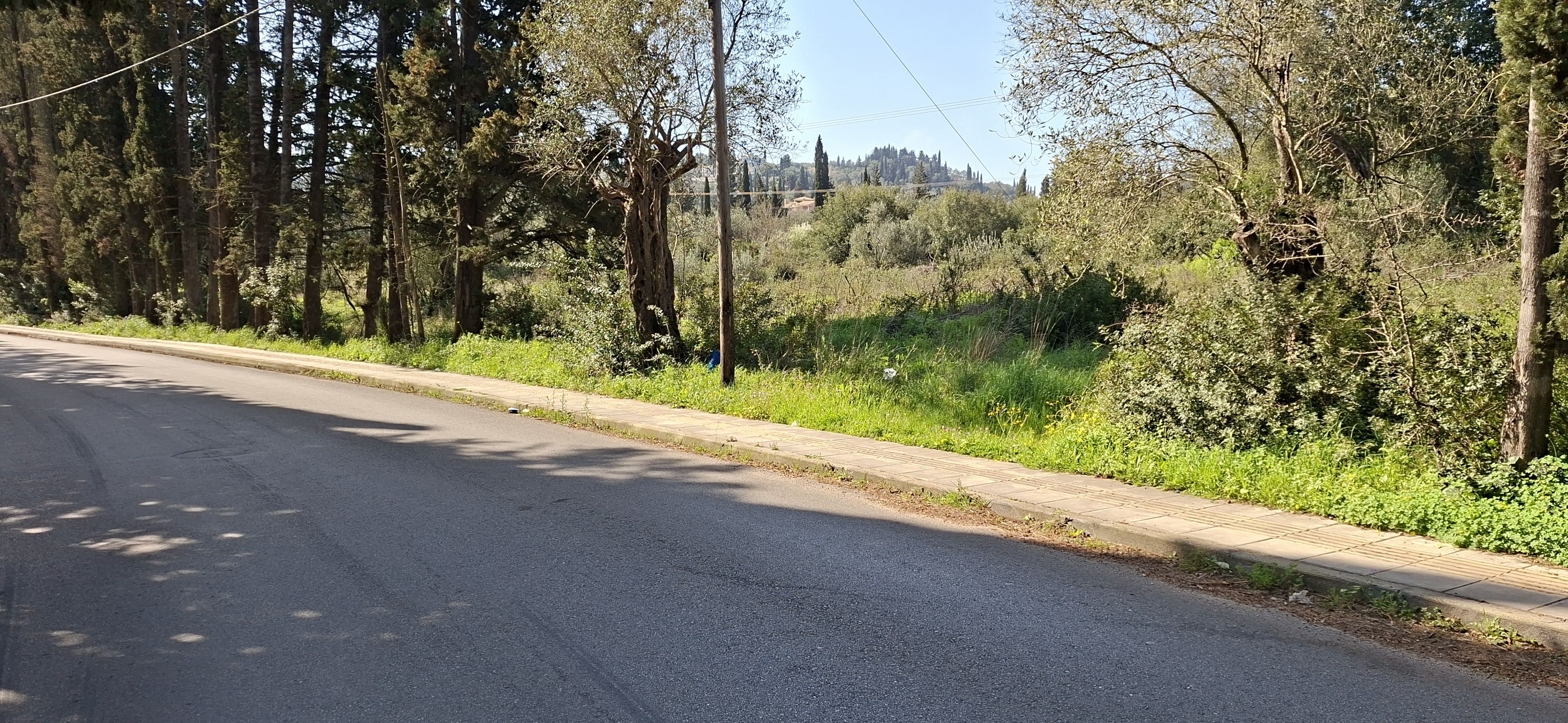 Αγροτεμάχιο  σε πλειστηριασμό Δήμος Κέρκυρας
