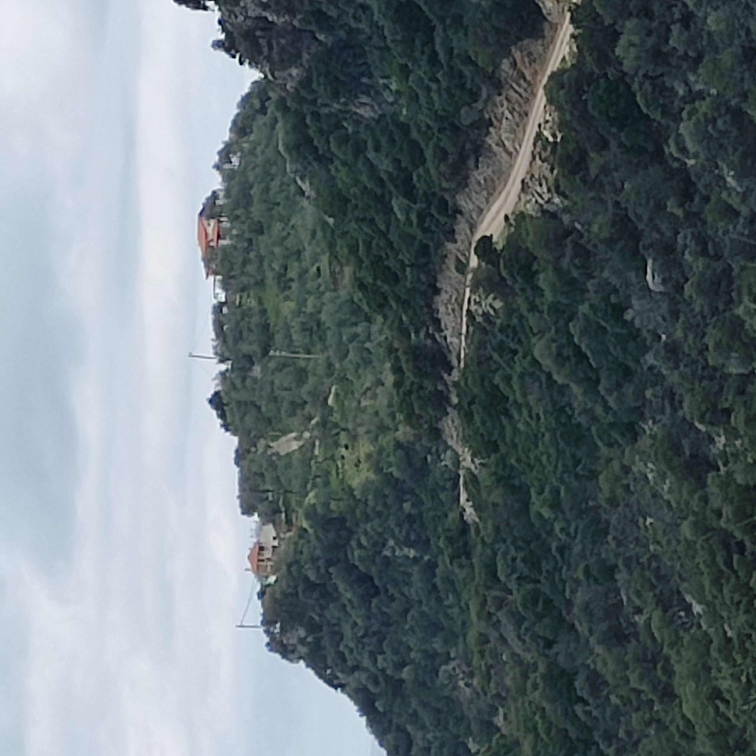 Αγροτεμάχιο με κτίσμα  σε πλειστηριασμό Δήμος Σκοπέλου