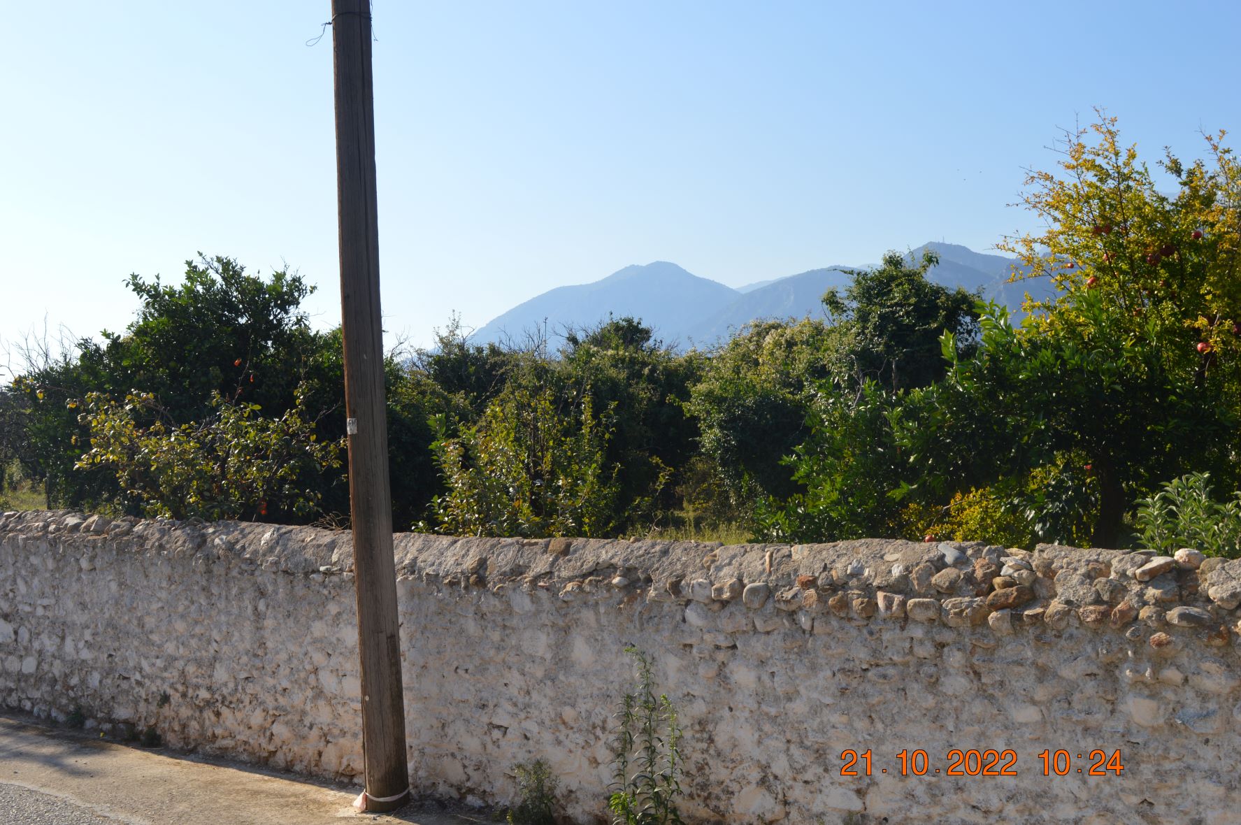 Οικόπεδο  σε πλειστηριασμό Δήμος Σπάρτης