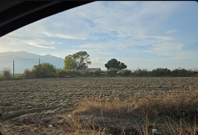 Αγροτεμάχιο με κτίσμα  σε πλειστηριασμό Δήμος Λαμιέων