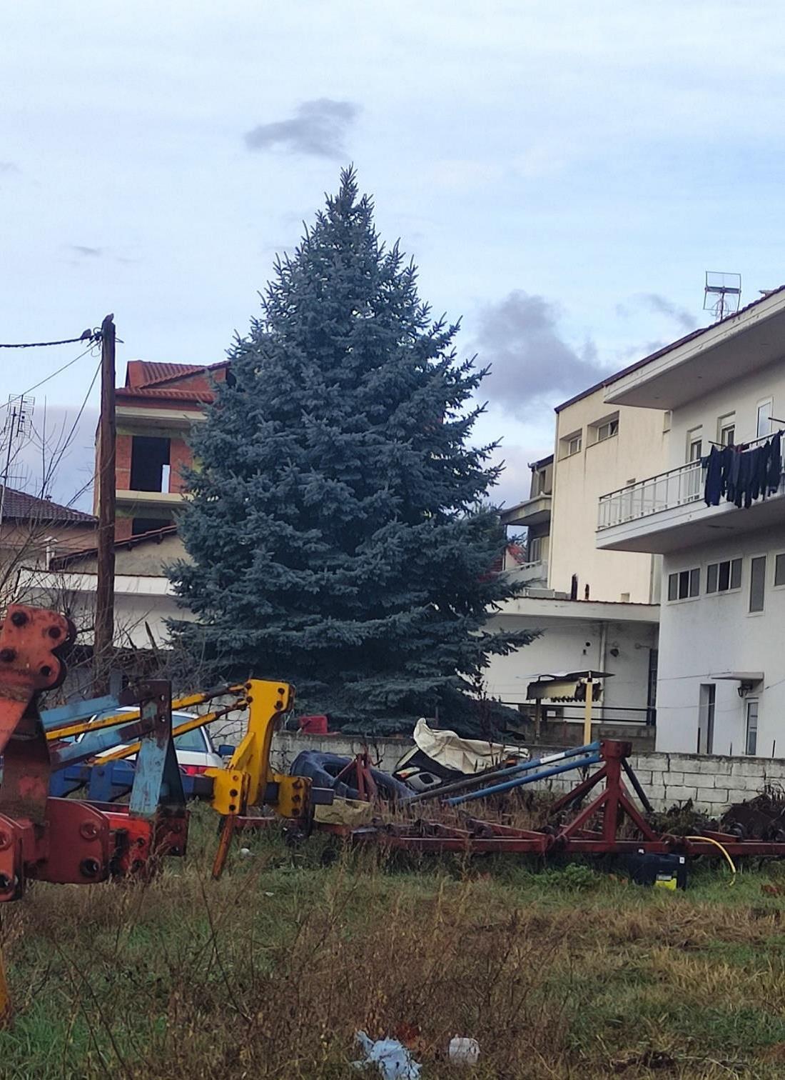 Οικόπεδο με κτίσμα  σε πλειστηριασμό Δήμος Εορδαίας