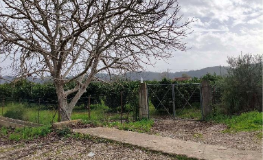 Αγροτεμάχιο  σε πλειστηριασμό Δήμος Πύργου