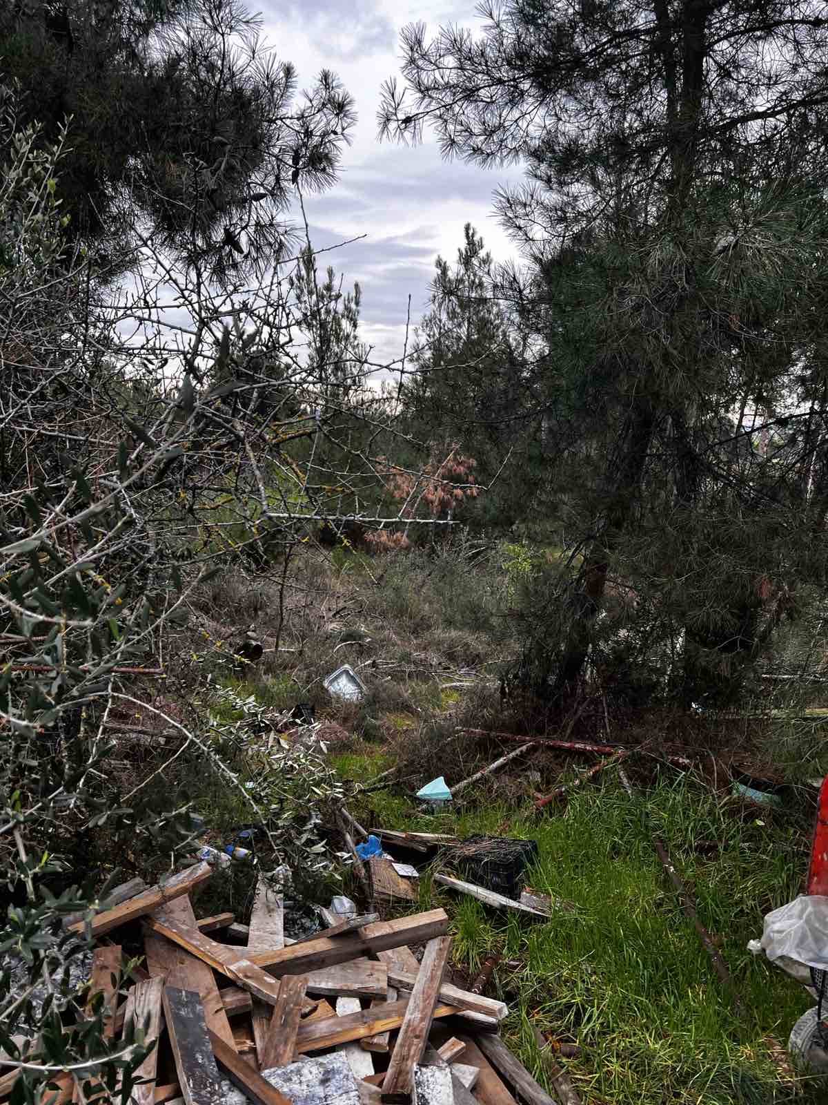 Αγροτεμάχιο  σε πλειστηριασμό Δήμος Θερμαϊκού